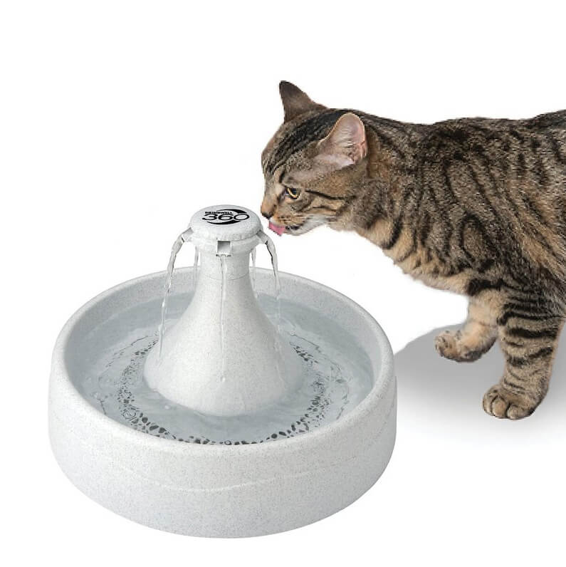 https://www.thewholisticpet.com/cdn/shop/products/drinkwell-360-plastic-pet-fountain_1024x1024.jpg?v=1670871788